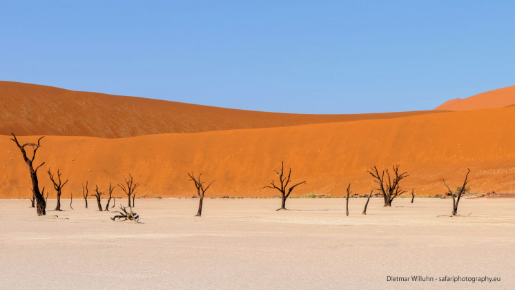 Dead Vlei