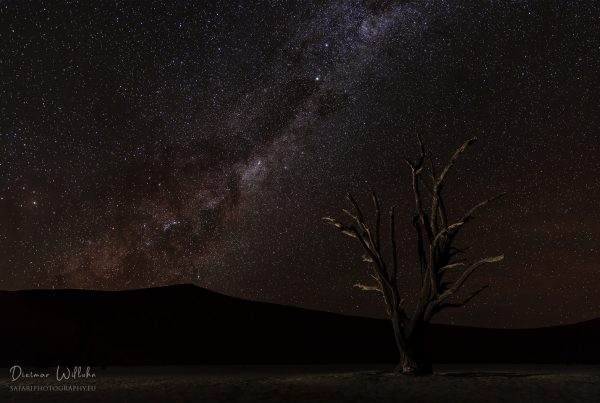 Mily Way - Namibia