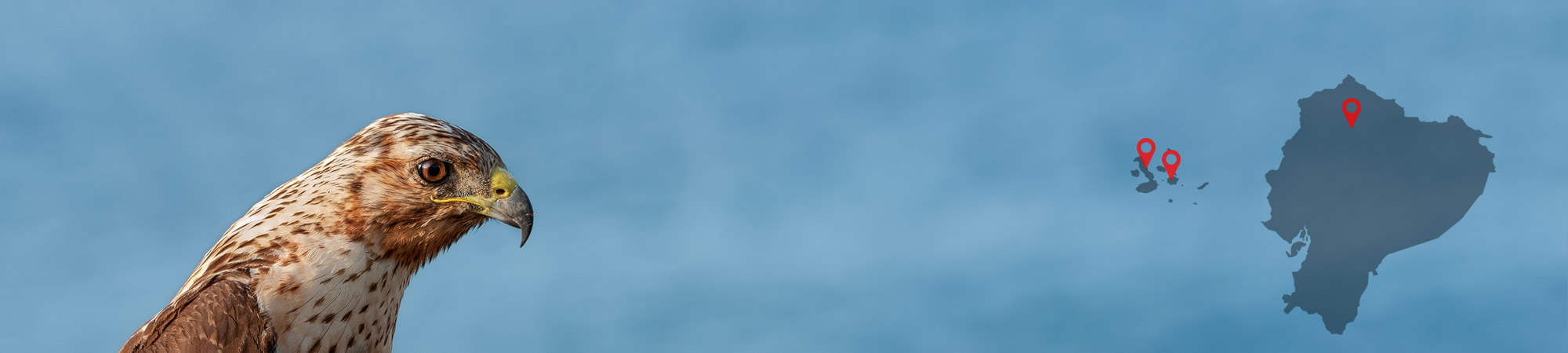 Galapagos-Ecuador-Header