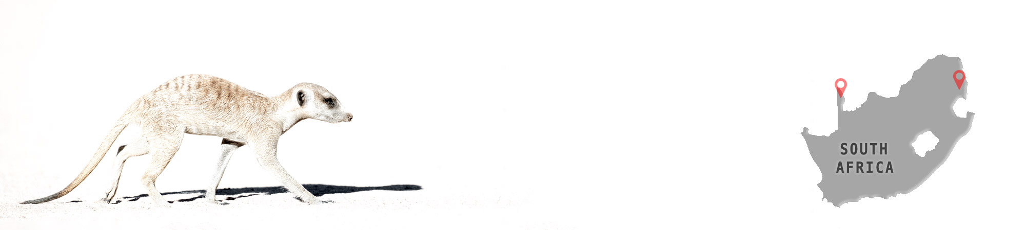 Südafrika-Header