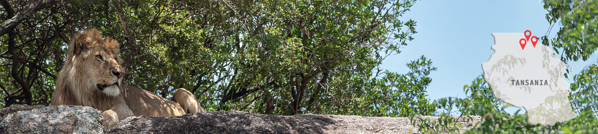 Safari Tansania Header